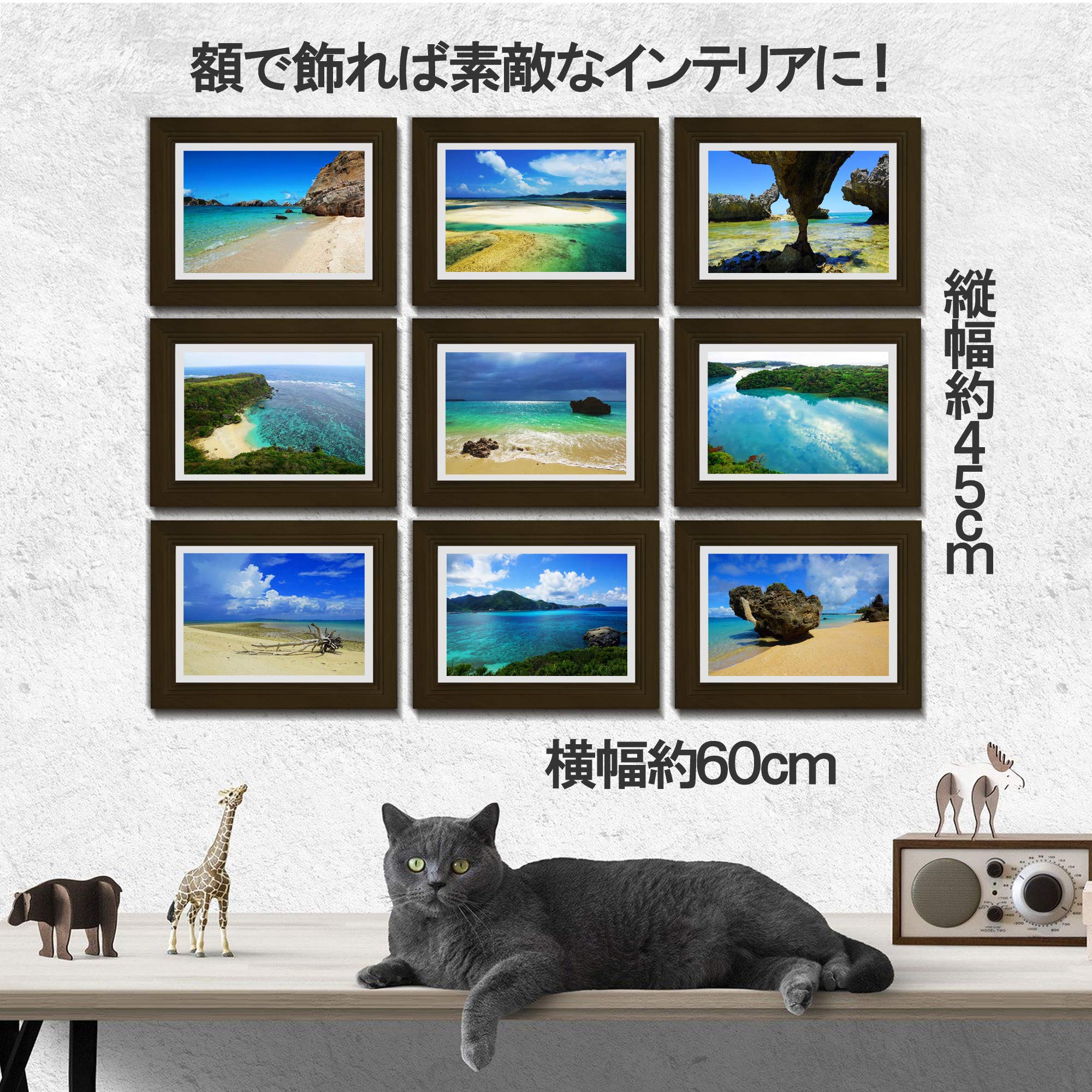 Amazon | 沖縄の海 ポストカード セット 綺麗 美しい 写真 癒し 夏 海